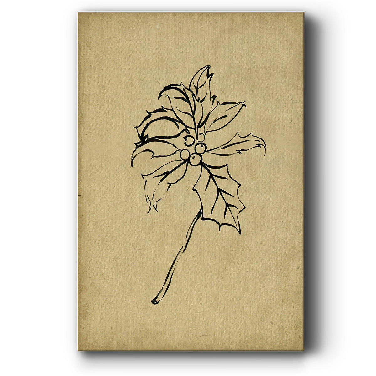 Holly Branch II - Canvas Art Print