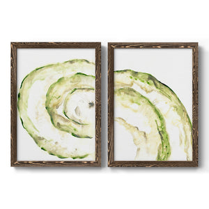 Lichen Halo V - Barnwood Framed Canvas Set