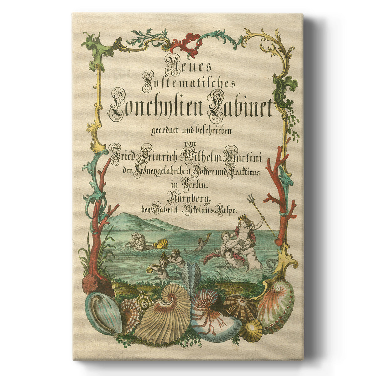 Cabinet of Conchology - Canvas Art Print