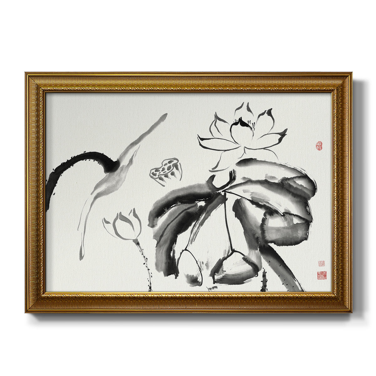 Lotus Study III - Ornate Framed Canvas Print