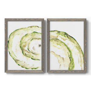 Lichen Halo V - Barnwood Framed Canvas Set
