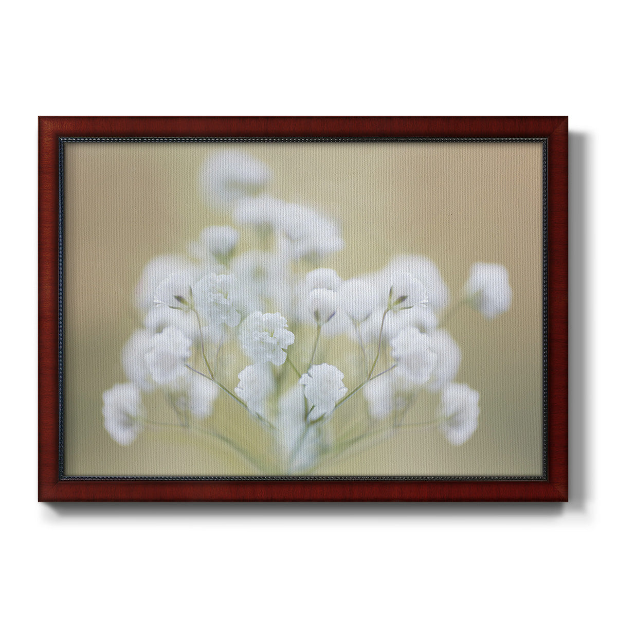 Baby's Breath Study I Premium Framed Canvas- Ready to Hang
