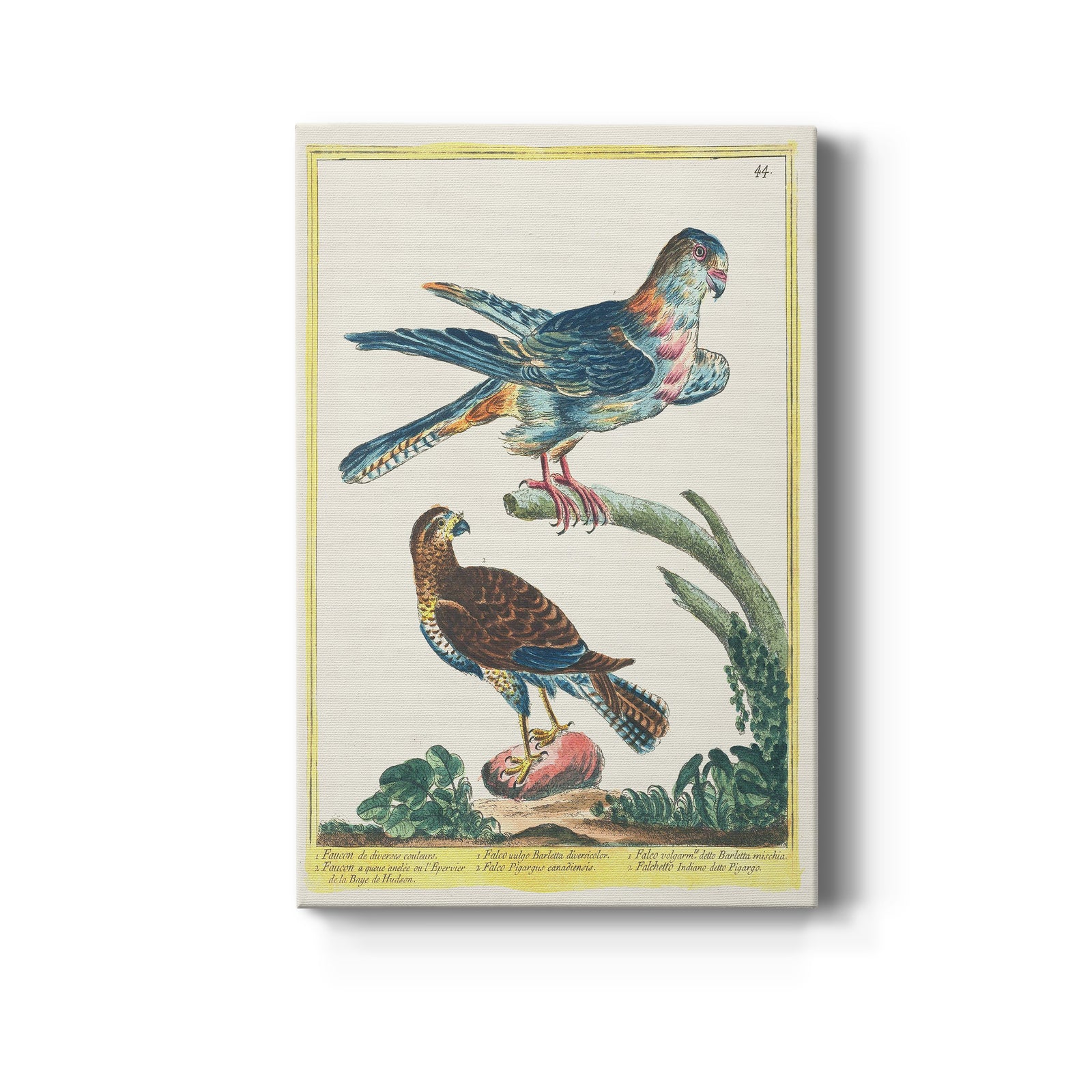 Pastel Birds III - Canvas Art Print