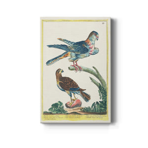 Pastel Birds III - Canvas Art Print