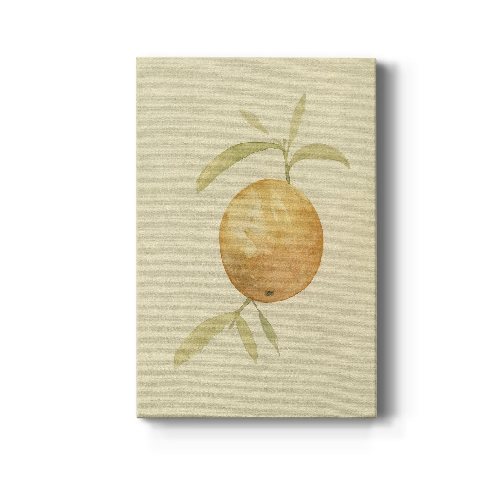 Dappled Oranges III - Canvas Art Print