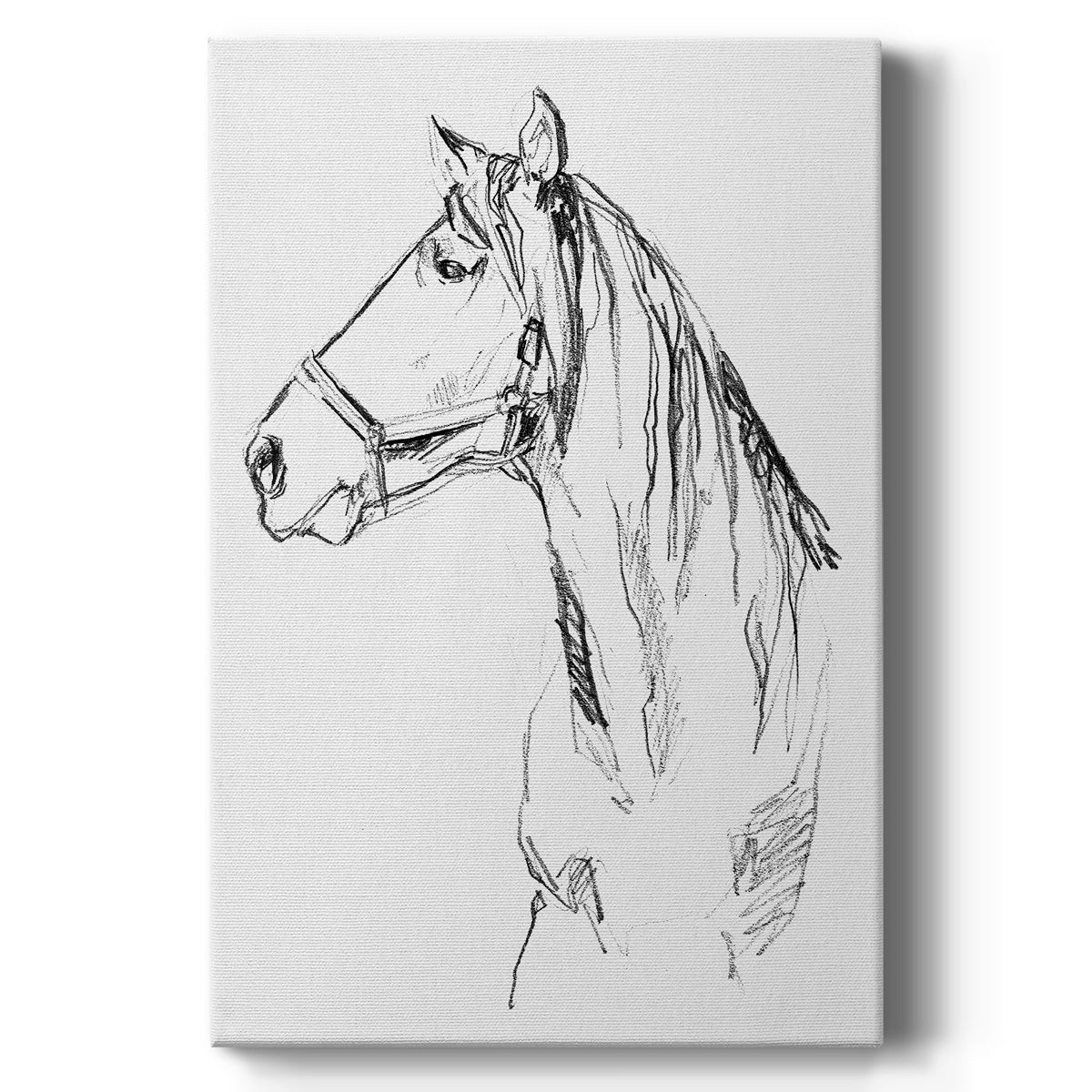 Bridle Portraits I - Canvas Art Print