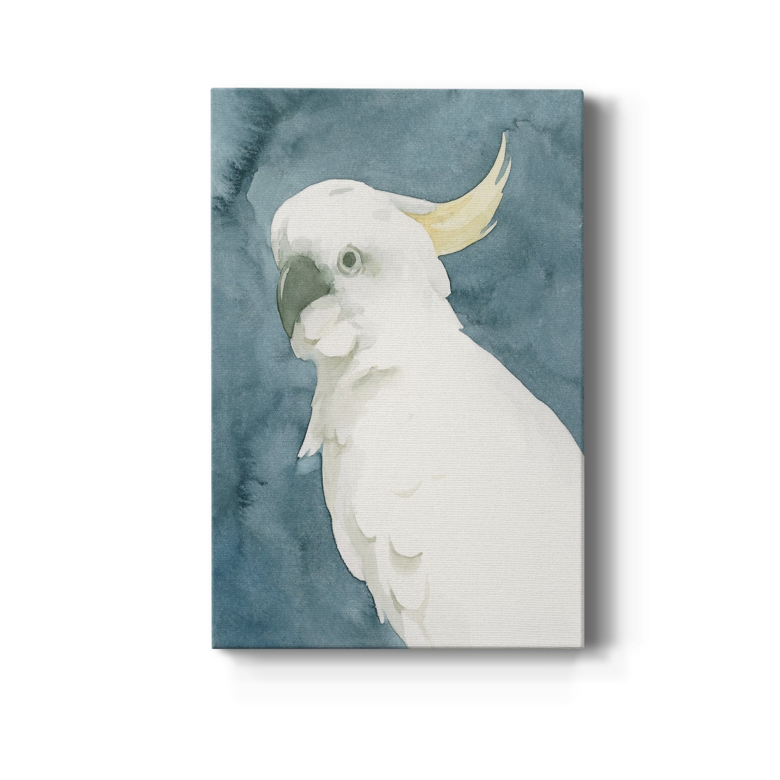 Cockatoo Portrait II - Canvas Art Print