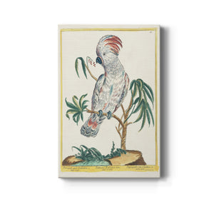 Pastel Birds II - Canvas Art Print