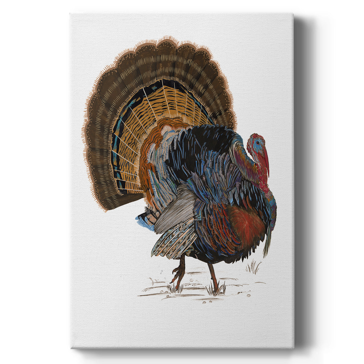 Turkey Study I Premium Gallery Wrapped Canvas - Ready to Hang