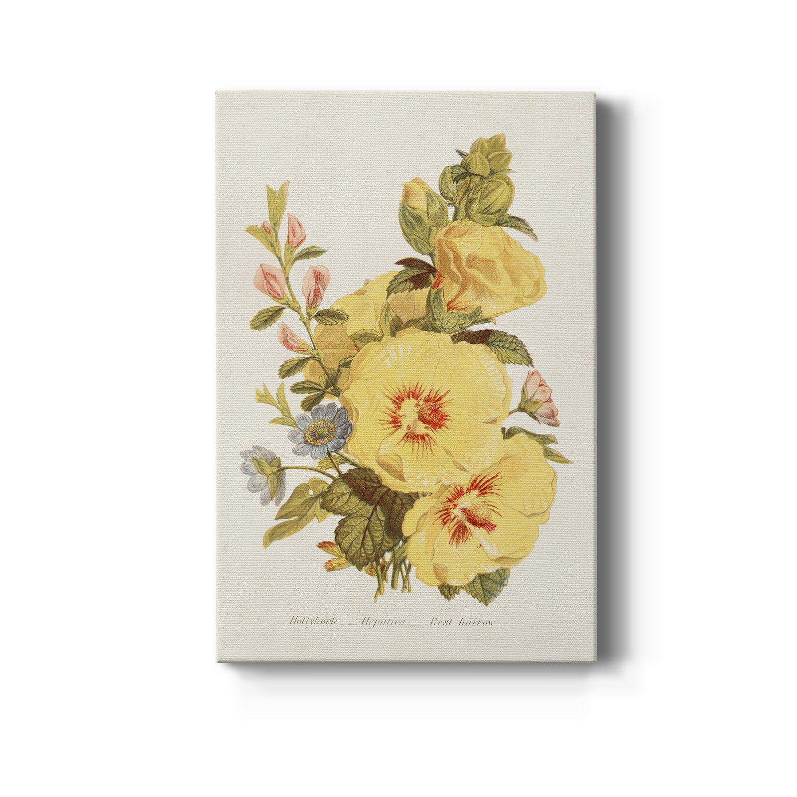 Antique Floral Bouquet VI - Canvas Art Print