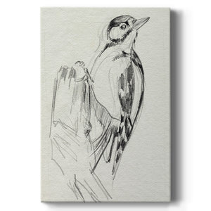 Woodpecker Sketch II Premium Gallery Wrapped Canvas - Ready to Hang