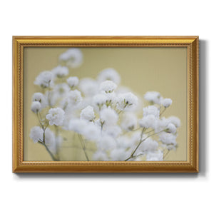 Baby's Breath Study III Premium Framed Canvas- Ready to Hang