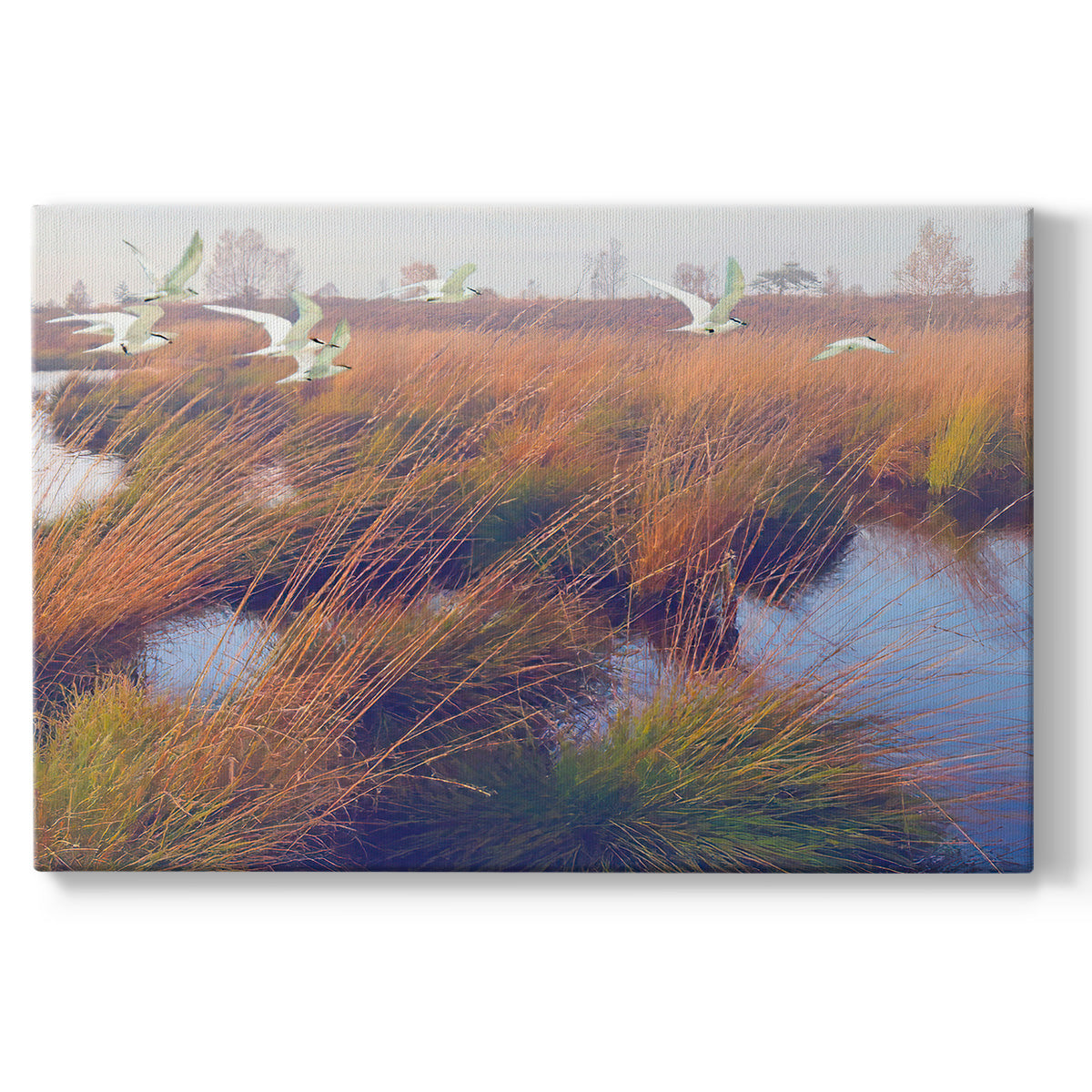 Marshland Hues II - Canvas Art Print