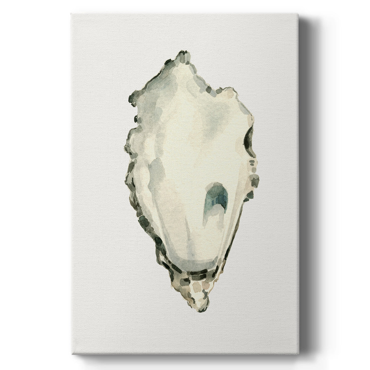 Neutral Oyster Study IV  Premium Gallery Wrapped Canvas - Ready to Hang