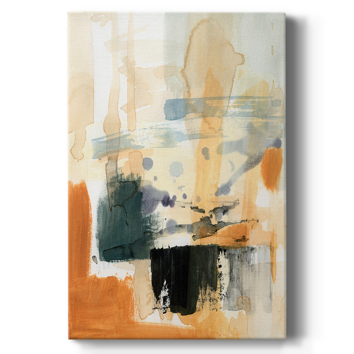 Seria III - Canvas Art Print