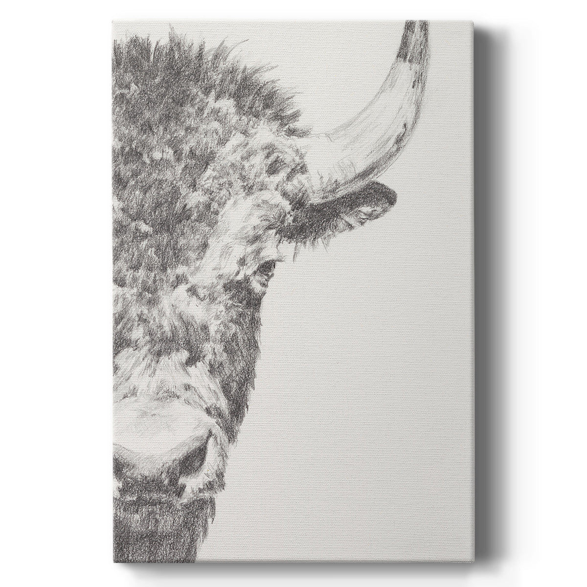 Graphite Bison Portrait II - Canvas Art Print