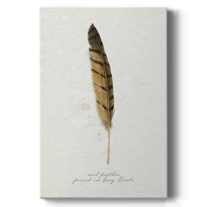 Found Feather III - Canvas Art Print