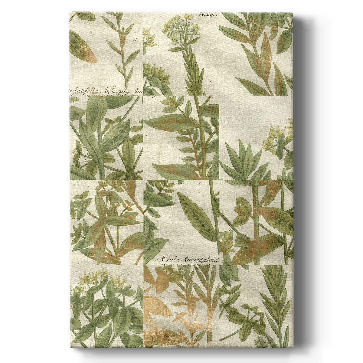 Garden Grid III - Canvas Art Print