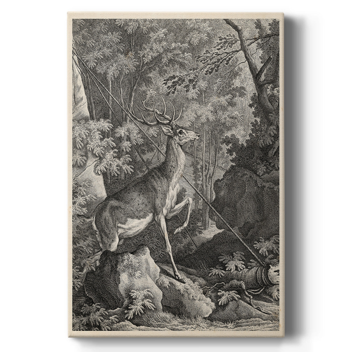 Woodland Deer VII - Canvas Art Print