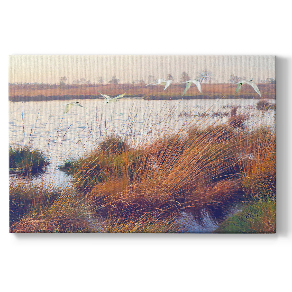Marshland Hues I - Canvas Art Print