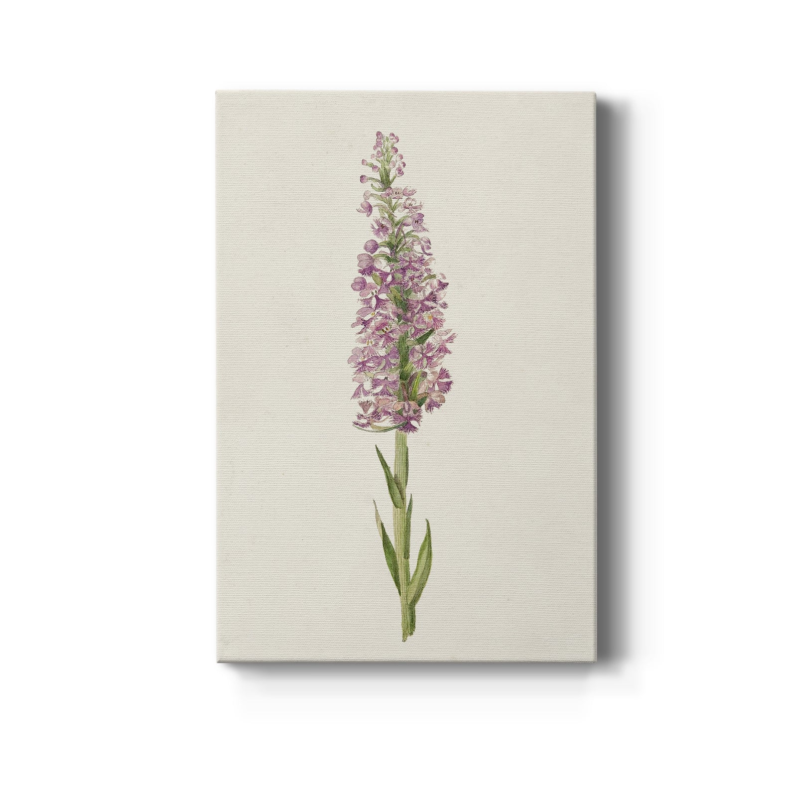Mauve Garden Flowers I - Canvas Art Print