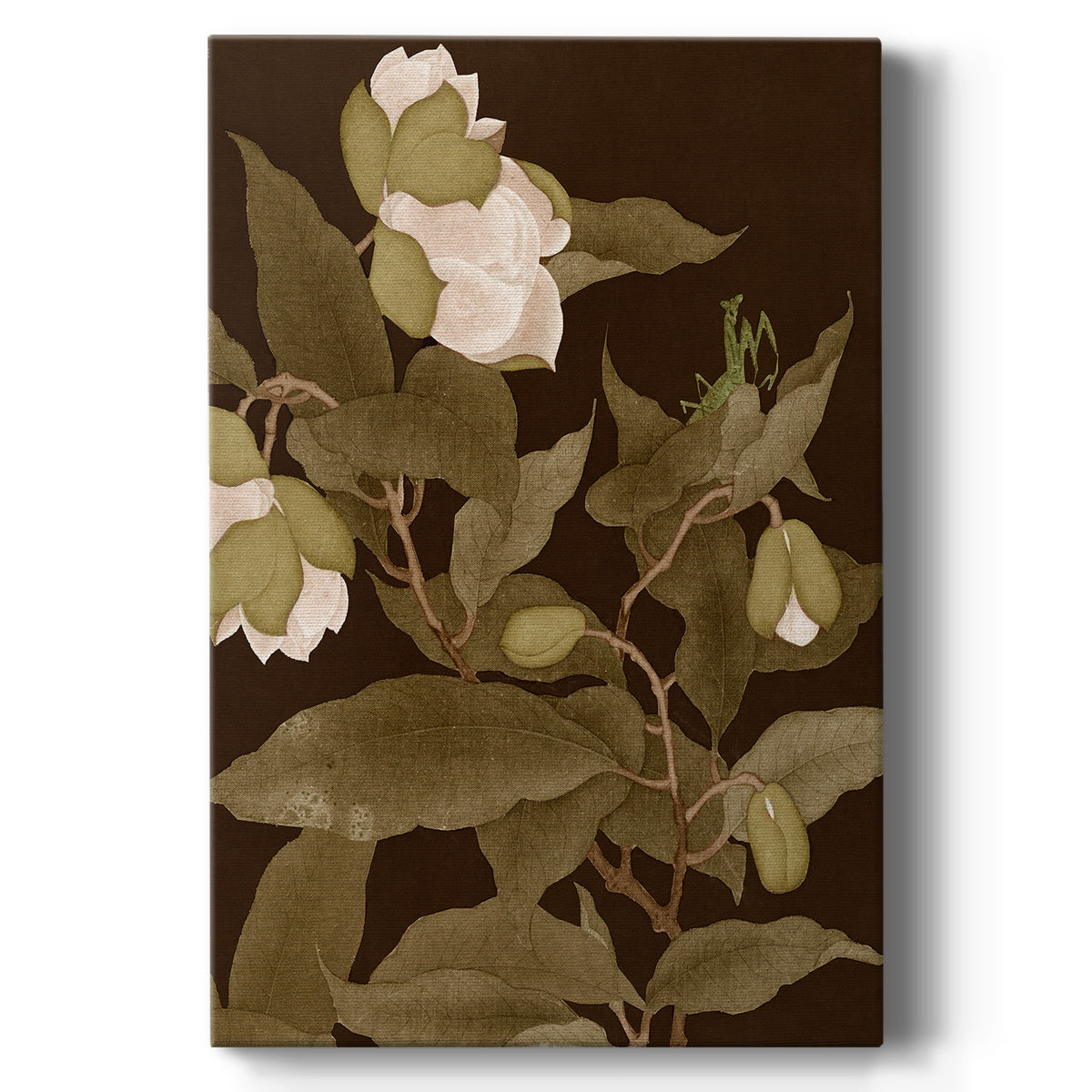 Asian Brocade I - Canvas Art Print