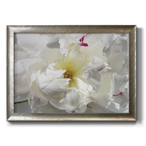 Breathless II Premium Framed Canvas- Ready to Hang