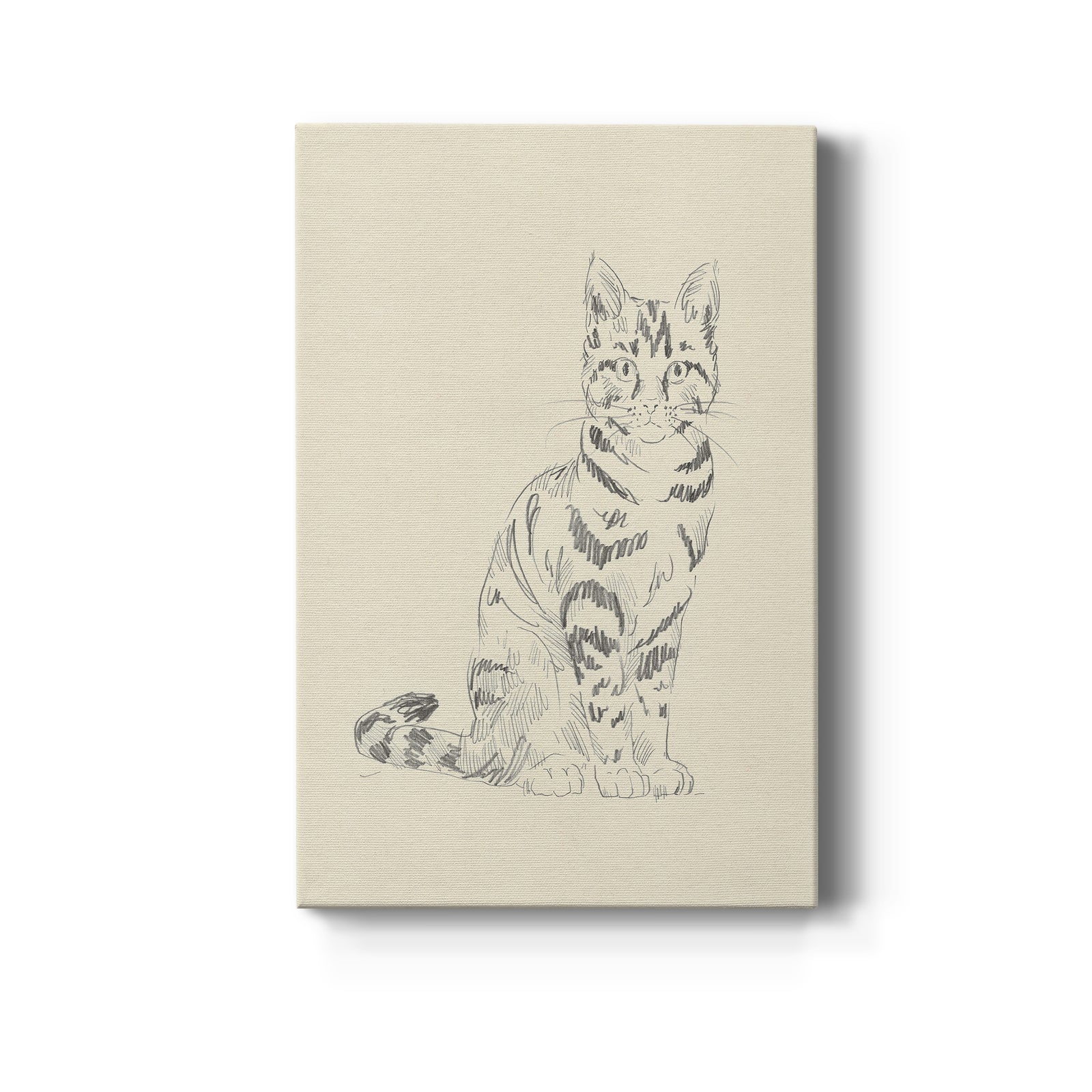 House Cat IV - Canvas Art Print