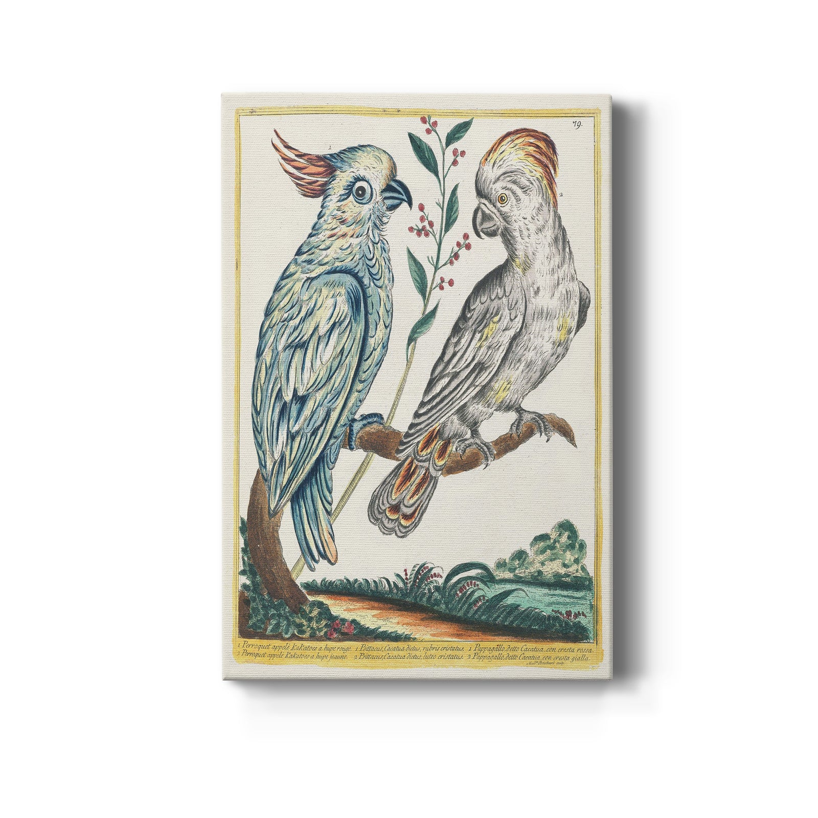 Pastel Birds I - Canvas Art Print