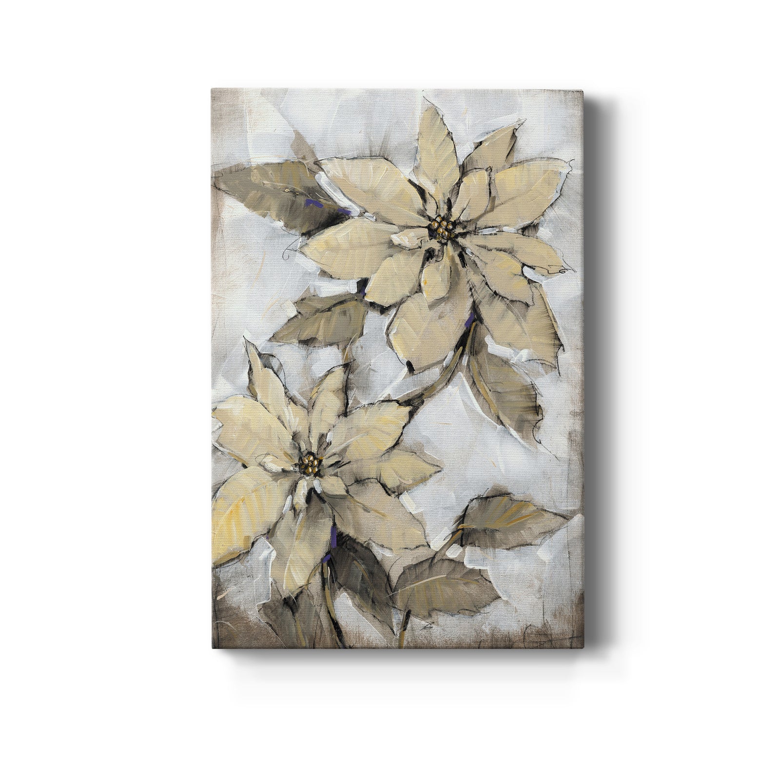 Poinsettia Study I - Canvas Art Print