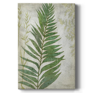 Frond I Premium Gallery Wrapped Canvas - Ready to Hang