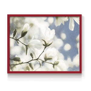 43929,magnolia,blossoms,spring,flowers,garden,blue sky,nature,beauty,tranquility,blooming,sunlight,botanical,peaceful,outdoors,flora,petals,branches,park,season,fresh,growth,serene,scenic,backdrop,environment,landscape,sweet,charm,floral,organic,foliage,springtime,seasonality,colors,trees,nature lovers,wildlife,aesthetic,Re-stickable,Plants & Flowers