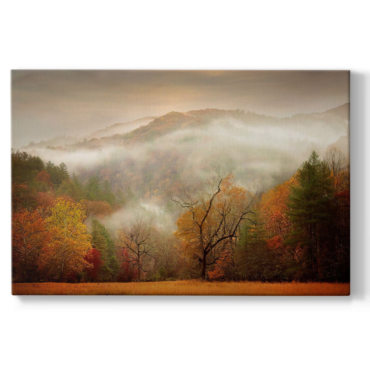 Photography Study Autumn Mist - Canvas Art Print