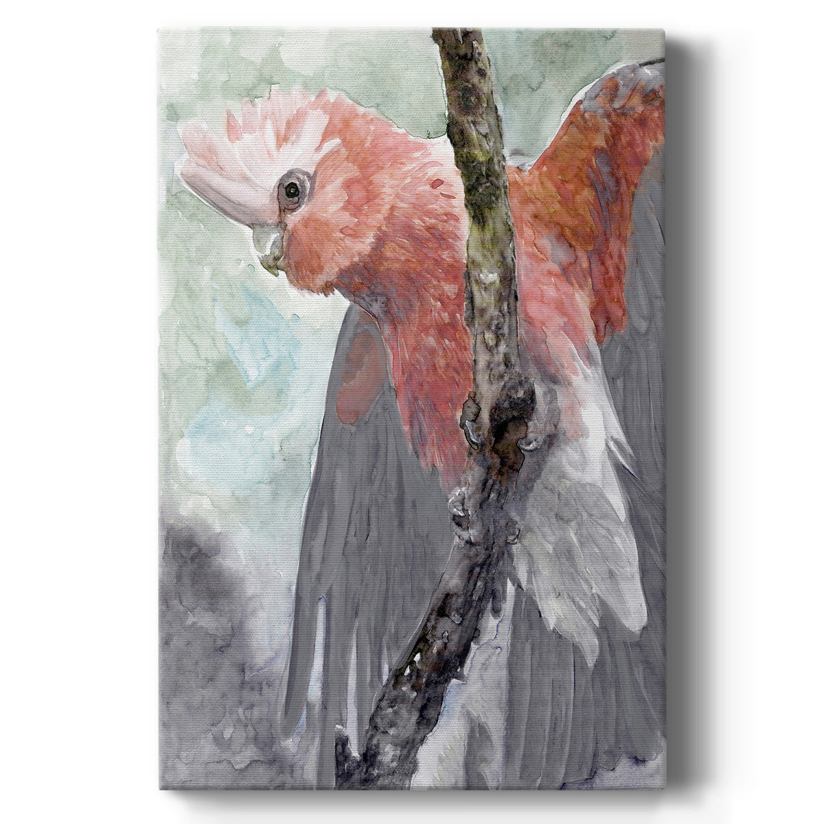 Tropic Parrot II - Canvas Art Print