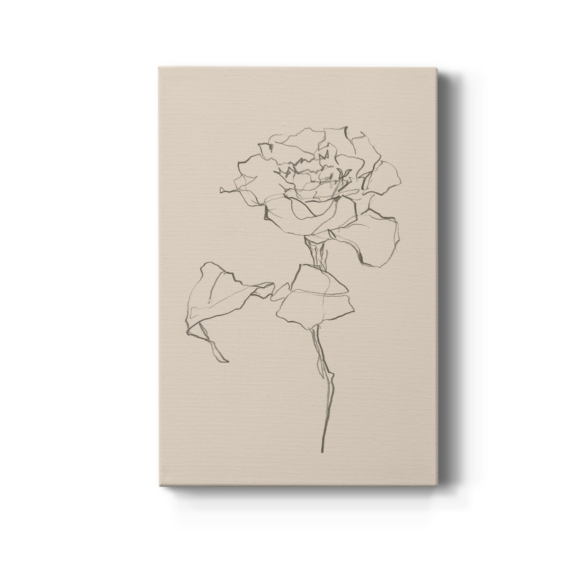 Floral Contour Study I Premium Gallery Wrapped Canvas - Ready to Hang
