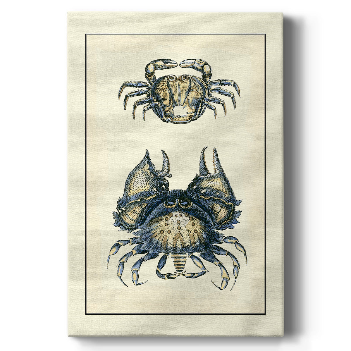 Antique Blue Crabs I Premium Gallery Wrapped Canvas - Ready to Hang