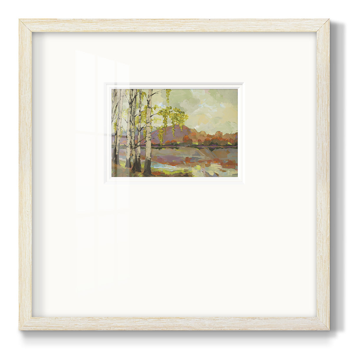 Birch Stand Premium Framed Print Double Matboard