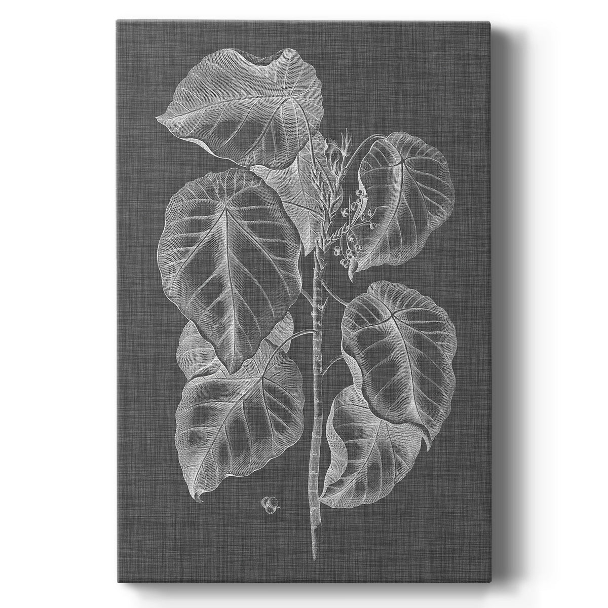 Graphic Foliage IV Premium Gallery Wrapped Canvas - Ready to Hang