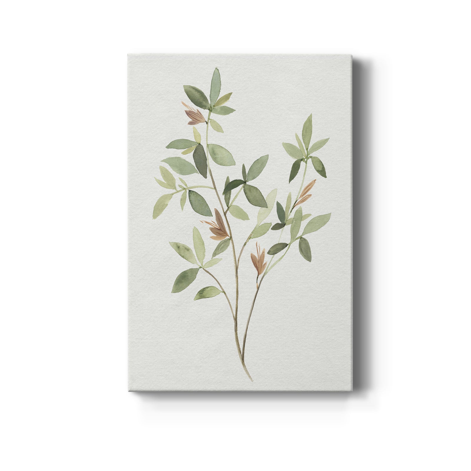 Single Sprig I - Canvas Art Print