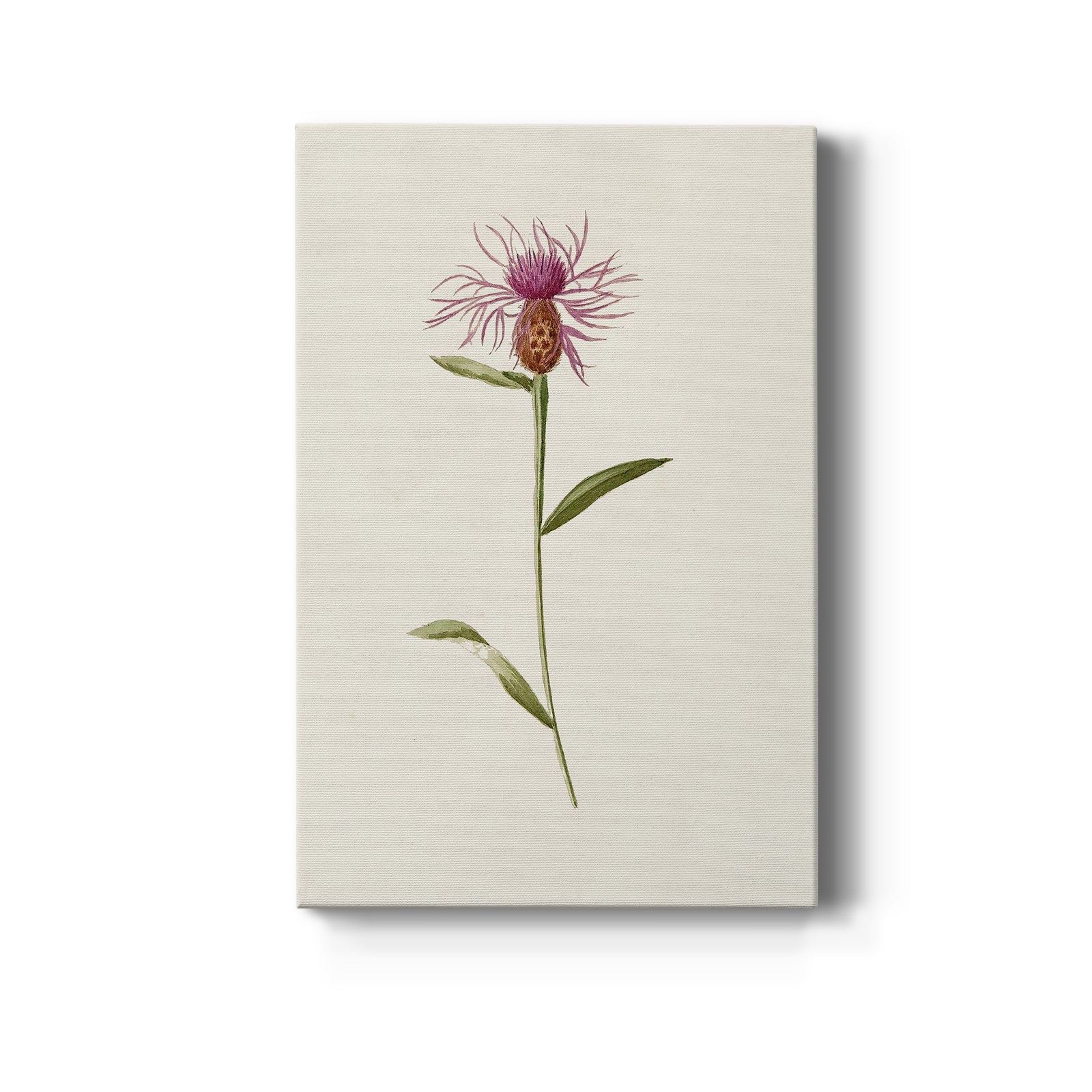 Mauve Garden Flowers VI - Canvas Art Print