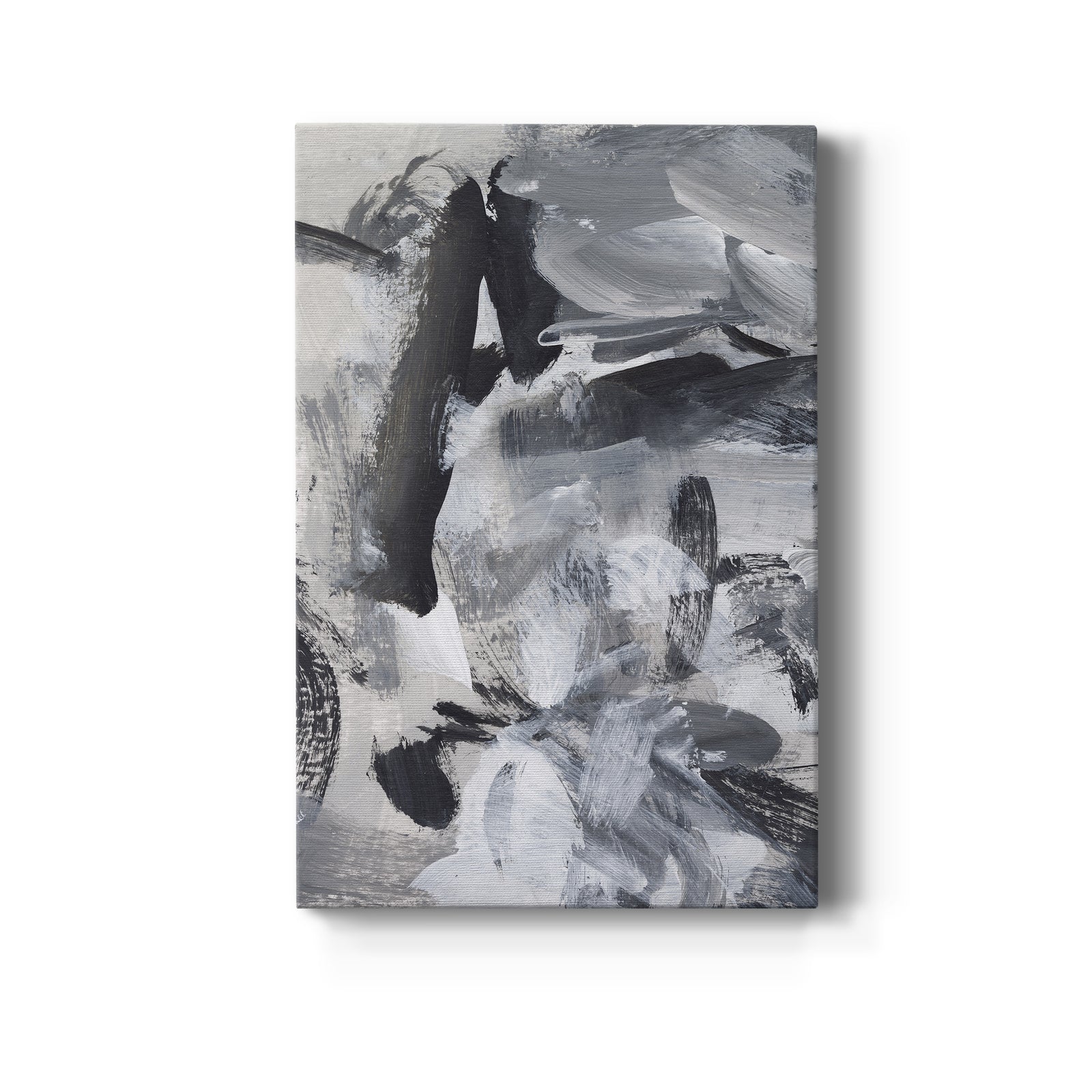 Black & White Mix III - Canvas Art Print