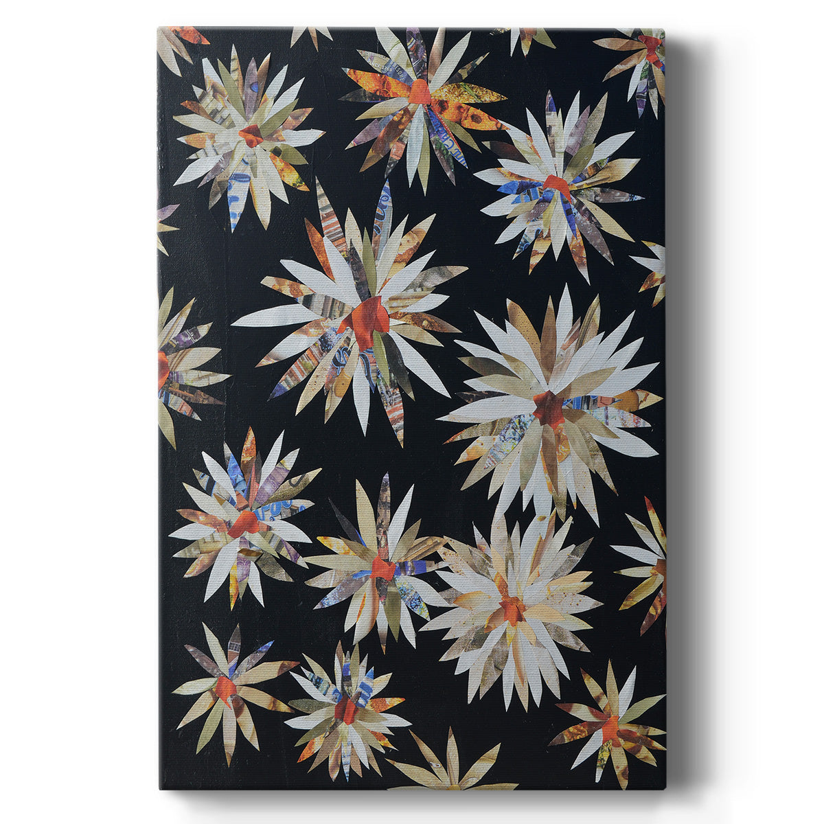 Starburst Too II - Canvas Art Print