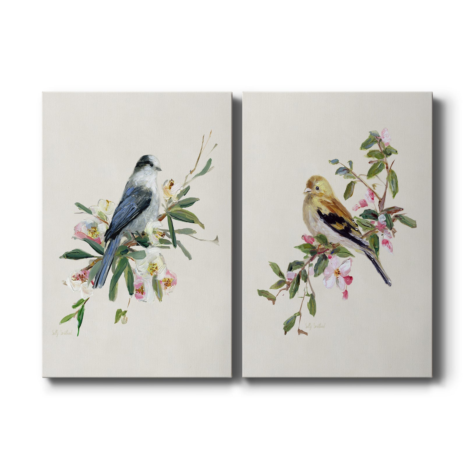 Spring Song Gray Jay - Canvas Art Set