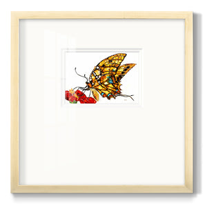 Wings II Premium Framed Print Double Matboard