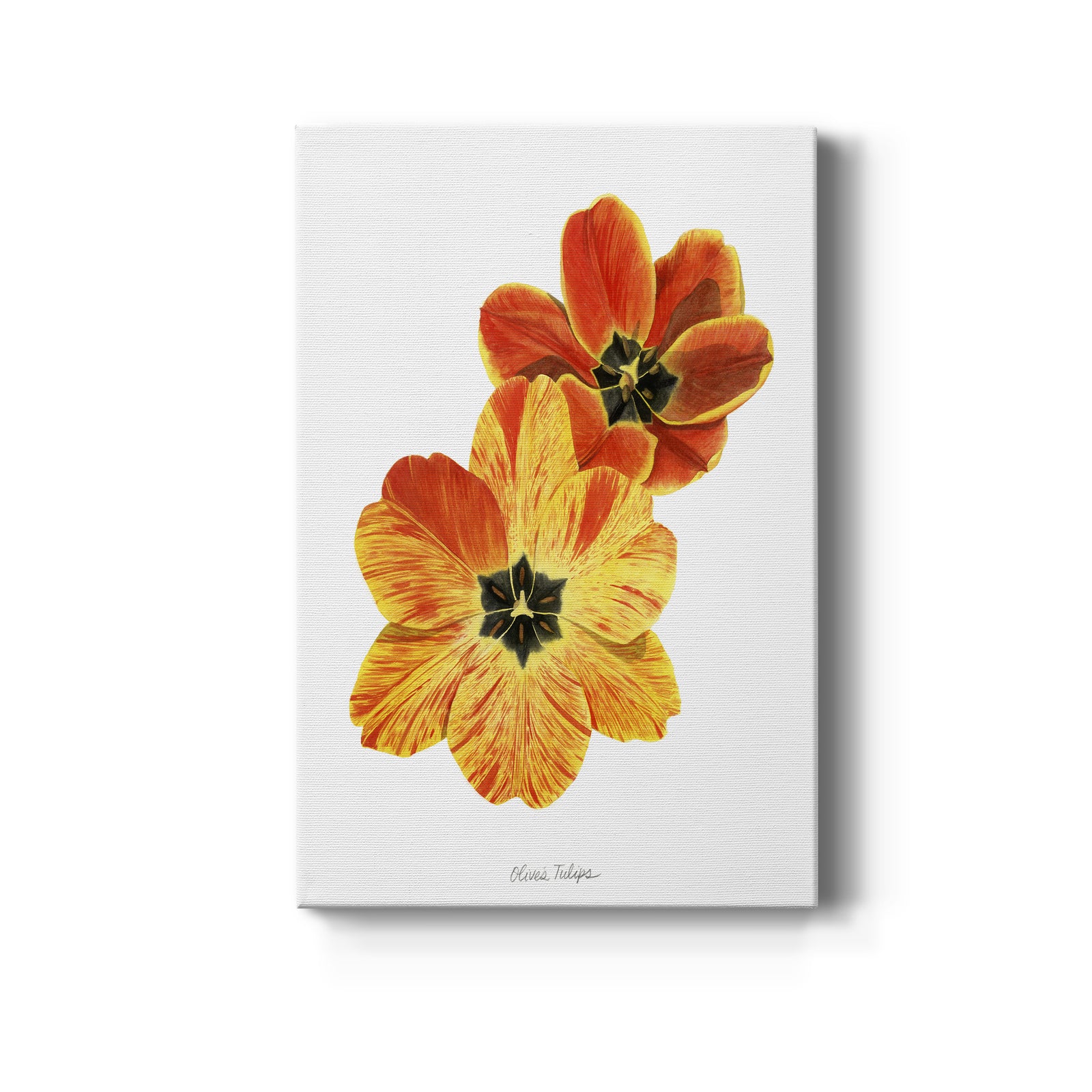 Olive's Tulips II - Canvas Art Print