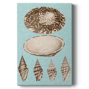 Sepia & Aqua Shells III Premium Gallery Wrapped Canvas - Ready to Hang