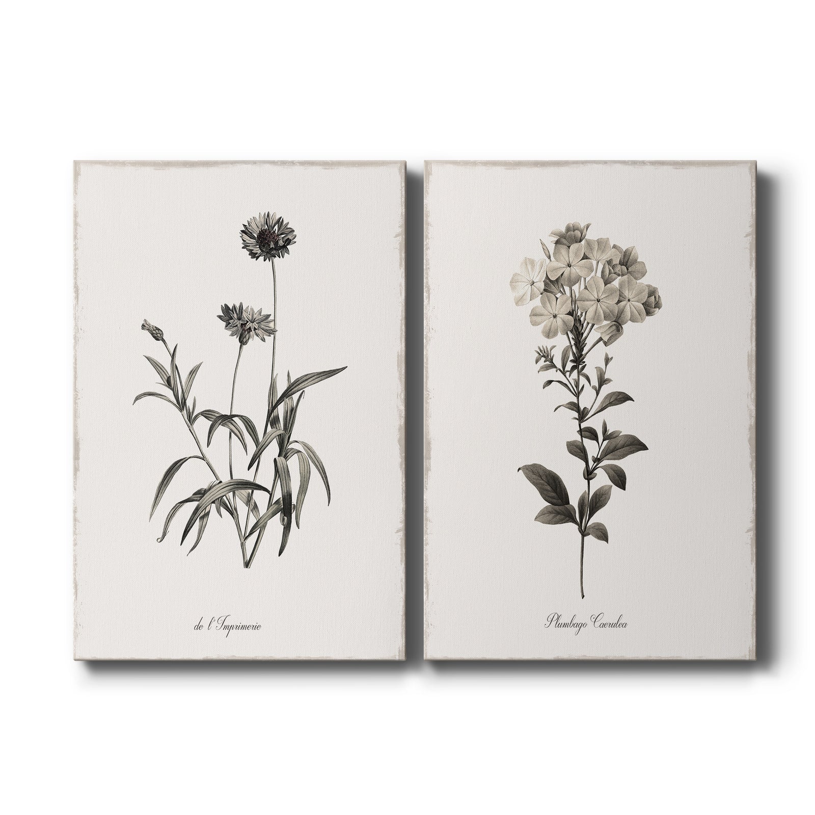 Sketchbook Imperial - Canvas Art Set