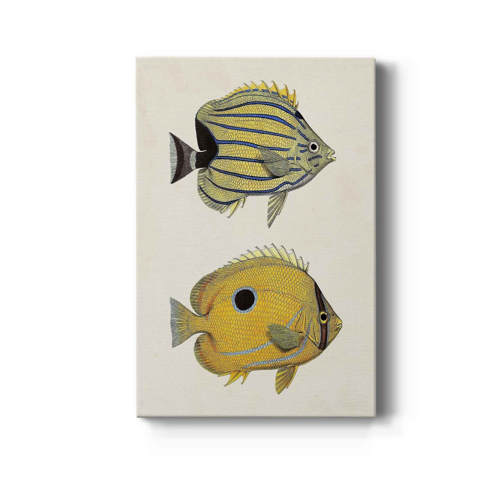 Yellow & Grey Fish III Premium Gallery Wrapped Canvas - Ready to Hang