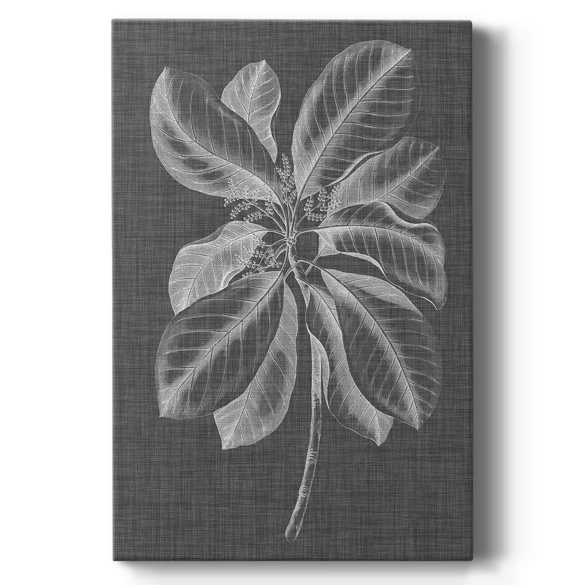 Graphic Foliage II Premium Gallery Wrapped Canvas - Ready to Hang
