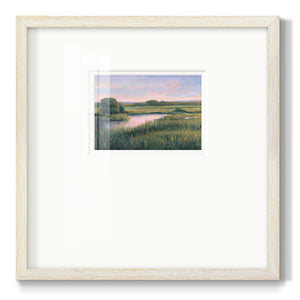 Spring Marsh I Premium Framed Print Double Matboard